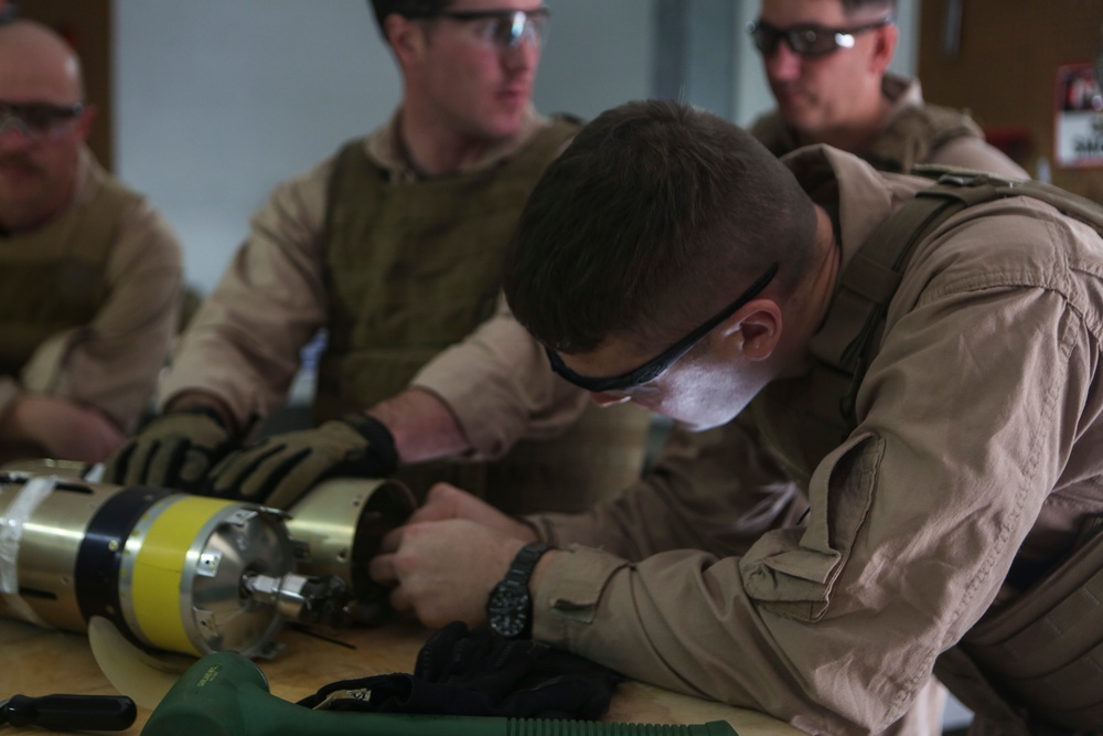 EOD Company tackles the Griffin Missile system