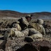 Marines with Alpha Company, 1/8 fire away during company attack