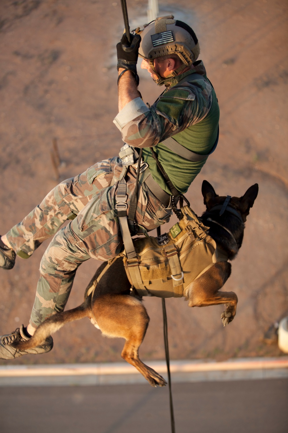 150922 MSOB Multi Purpose Canine Rappelling