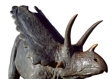 Pentaceratops