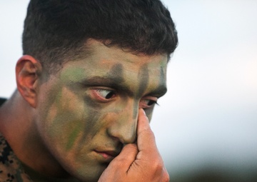 Marines with 1/2 take it to the Jungle during regimental air assault