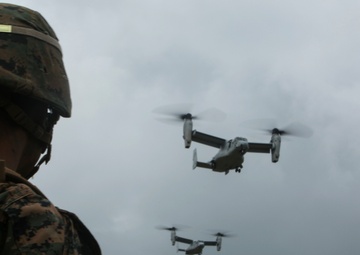 Marines with 1/2 take it to the Jungle during regimental air assault