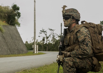 Marines with 1/2 take it to the Jungle during regimental air assault