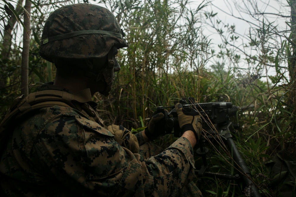 Marines with 1/2 take it to the Jungle during regimental air assault