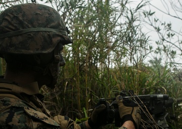 Marines with 1/2 take it to the Jungle during regimental air assault
