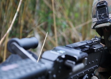 Marines with 1/2 take it to the Jungle during regimental air assault