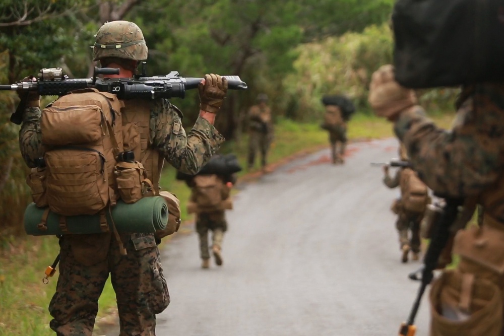 Marines with 1/2 take it to the Jungle during regimental air assault