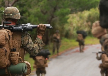 Marines with 1/2 take it to the Jungle during regimental air assault