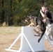 Iron Dog Competition challenges both ends of the leash