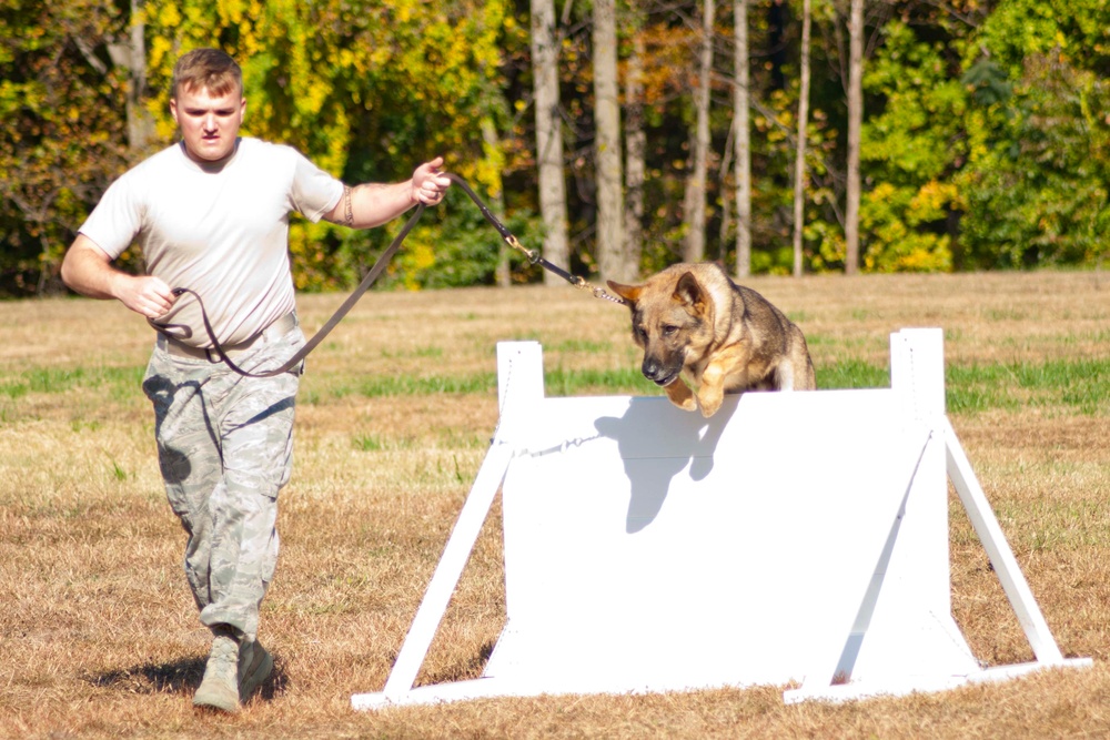 Iron Dog Competition challenges both ends of the leash