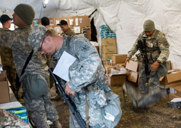 Expert Field Medical Badge 2015