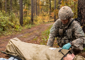 Expert Field Medical Badge 2015