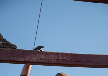 Climbing Jacob's ladder