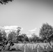 LtGen Frank Peterson Burial