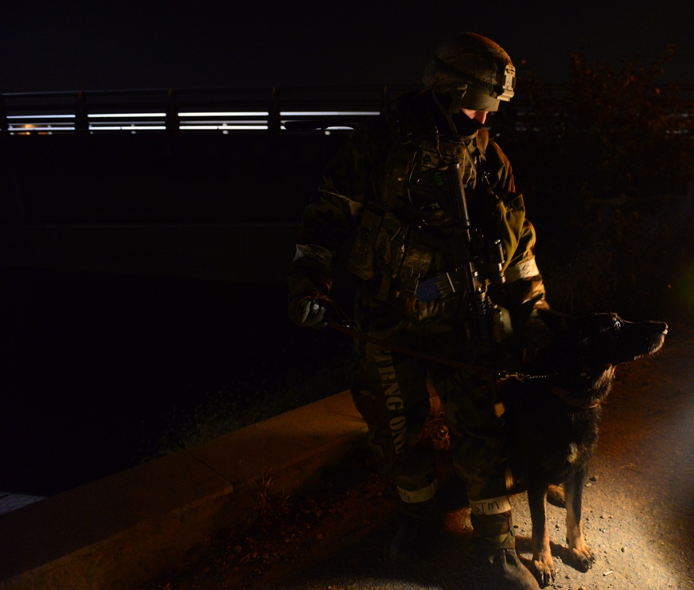 K-9 teams sniff out OPFOR during Vigilant Ace 16