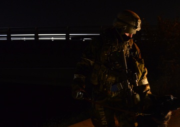 K-9 teams sniff out OPFOR during Vigilant Ace 16