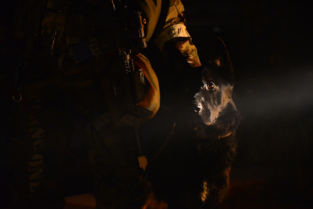 K-9 teams sniff out OPFOR during Vigilant Ace 16