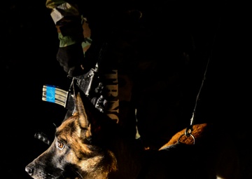 K-9 teams sniff out OPFOR during Vigilant Ace 16