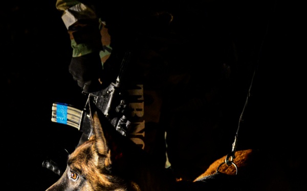 K-9 teams sniff out OPFOR during Vigilant Ace 16