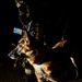 K-9 teams sniff out OPFOR during Vigilant Ace 16