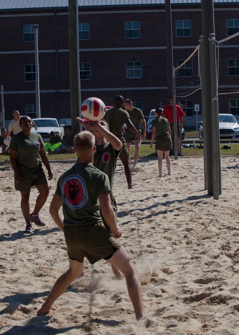 Field Meet- October 2015