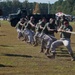 Field Meet- October 2015