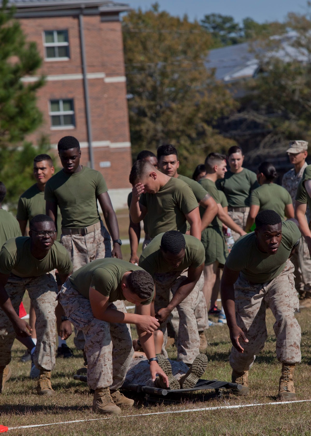 Field Meet- October 2015