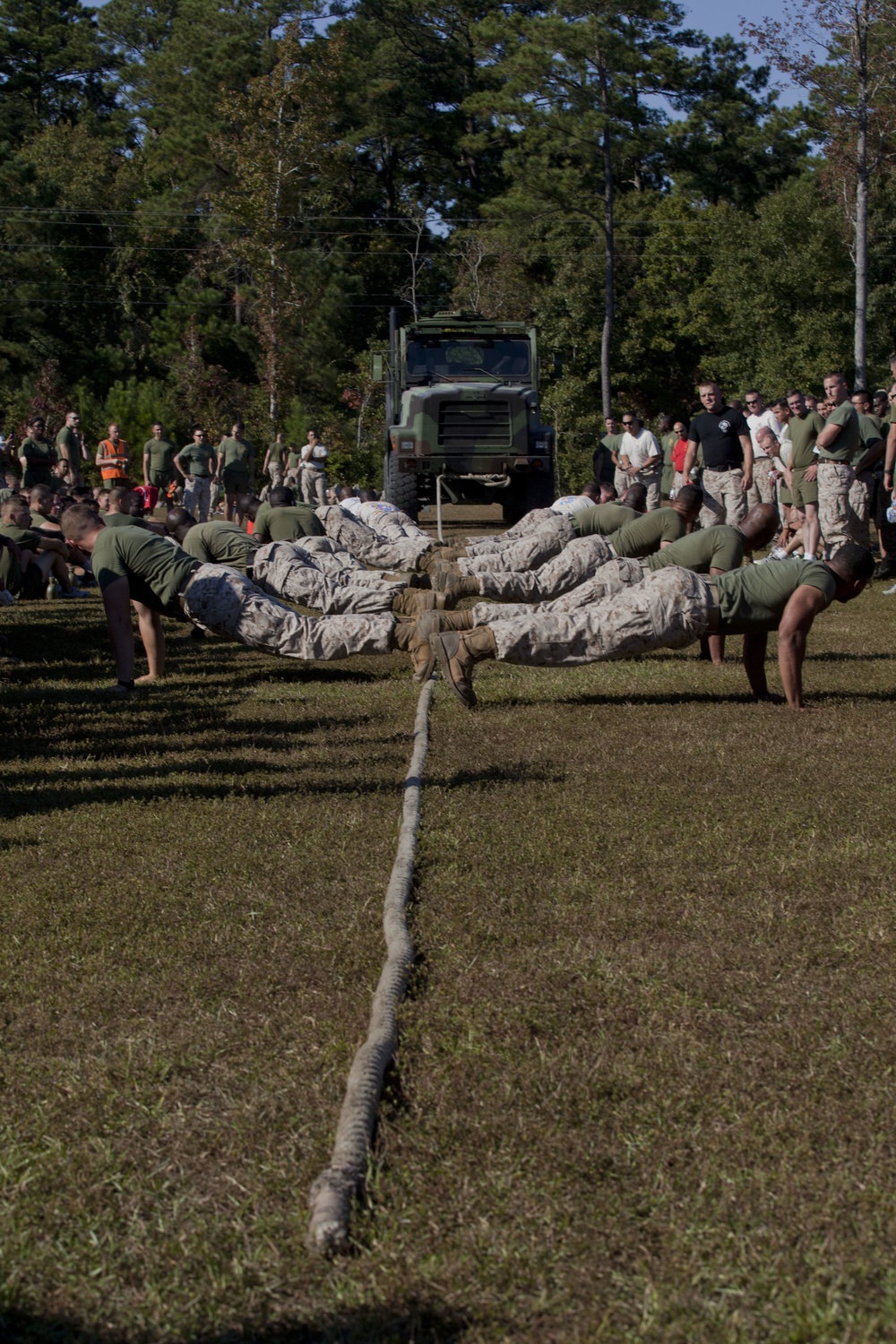 Field Meet- October 2015