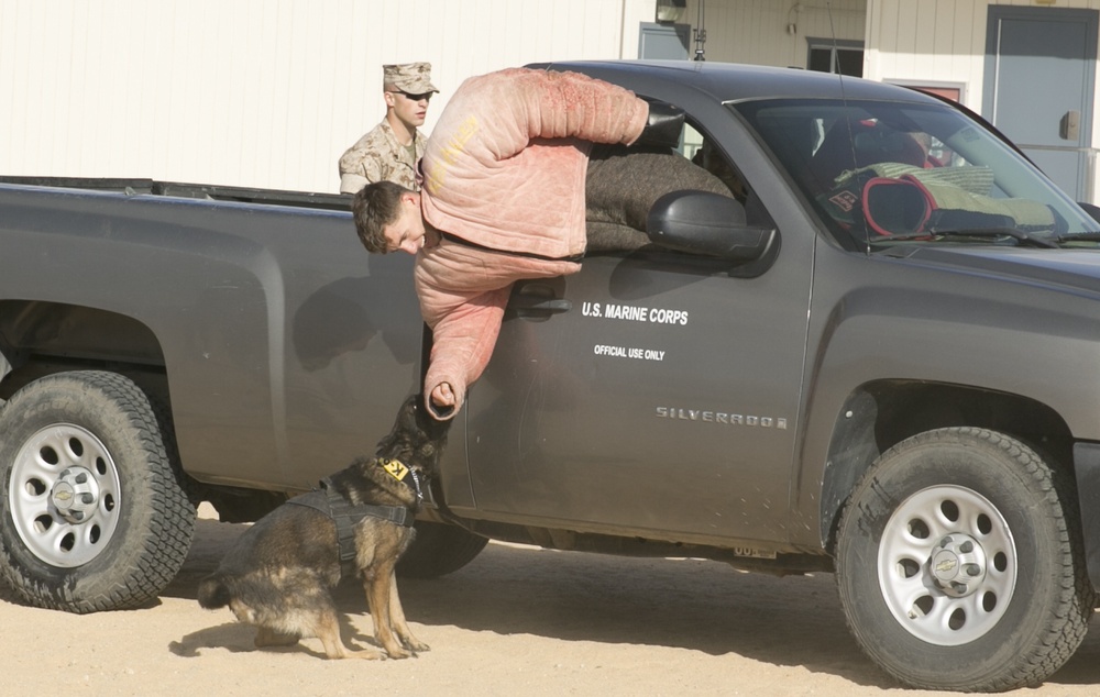 MWD section supports Red Ribbon Week