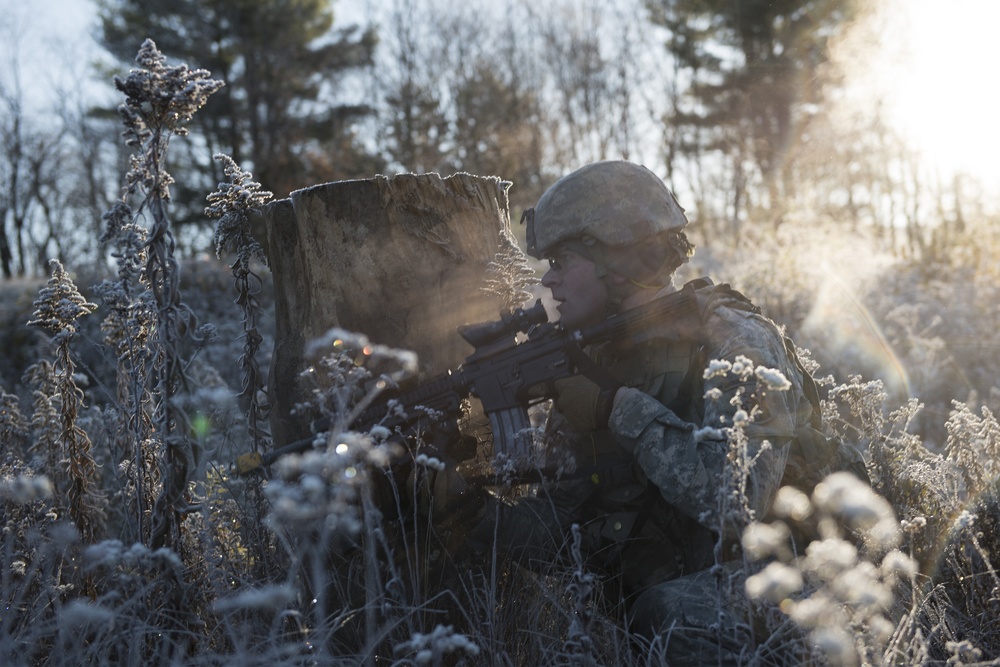 Live fire exercise