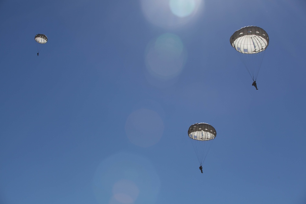 RTB Cadre airborne jump