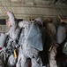 Tarantula Team airborne jump Fort Irwin