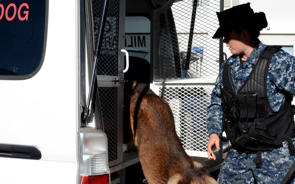 Military working dog training