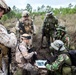 US Marines train with allies in Portugal