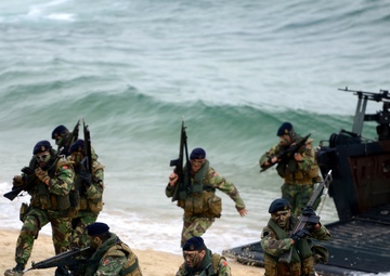US, European forces demonstrate amphibious capabilities
