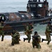 US, European forces demonstrate amphibious capabilities
