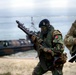 US, European forces demonstrate amphibious capabilities