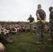 Marines with SOI-East Celebrate the 240th Marine Corps Birthday