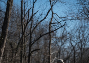 Aiming for excellence, hitting so much more