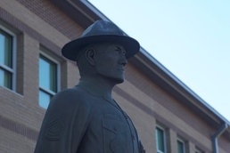 Drill sergeants are master trainers