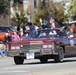 Veterans Day Parade 2015