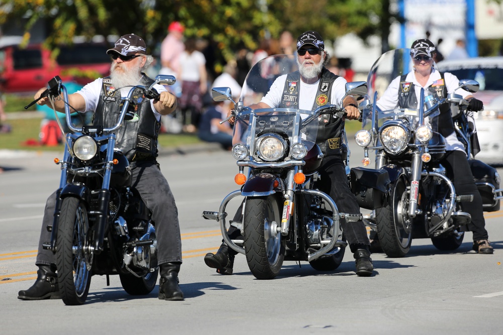 Veterans Day Parade 2015