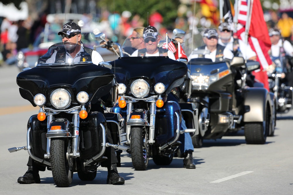 Veterans Day Parade 2015