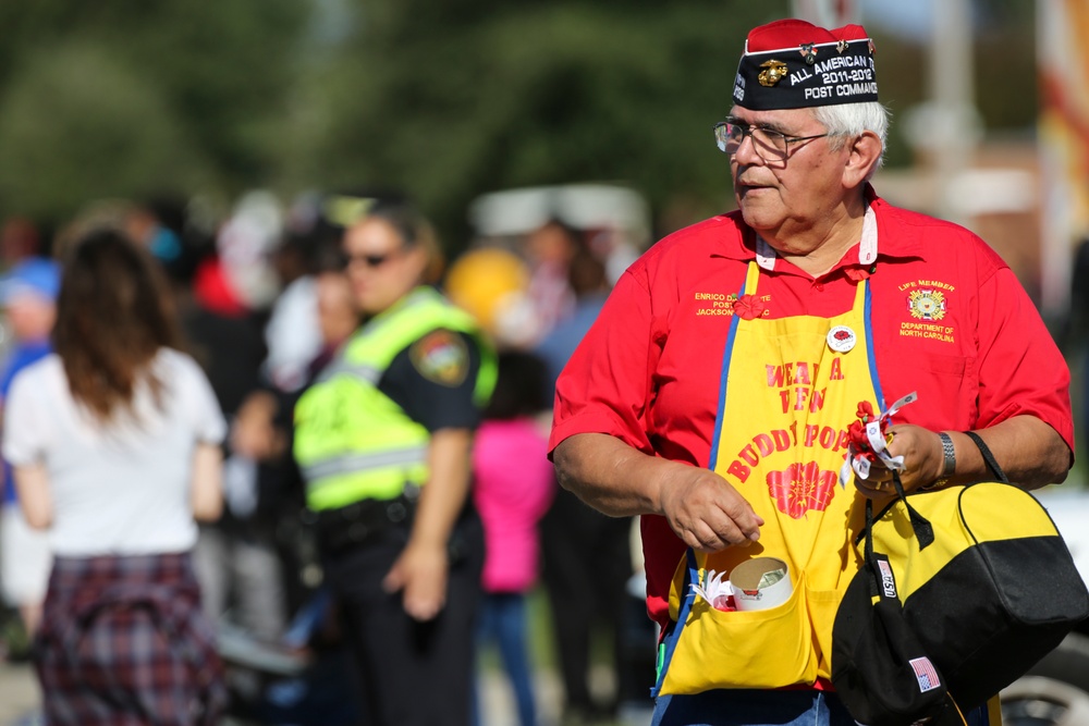 Veterans Day Parade 2015