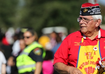 Veterans Day Parade 2015