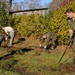 74th EFS, German Airmen give back
