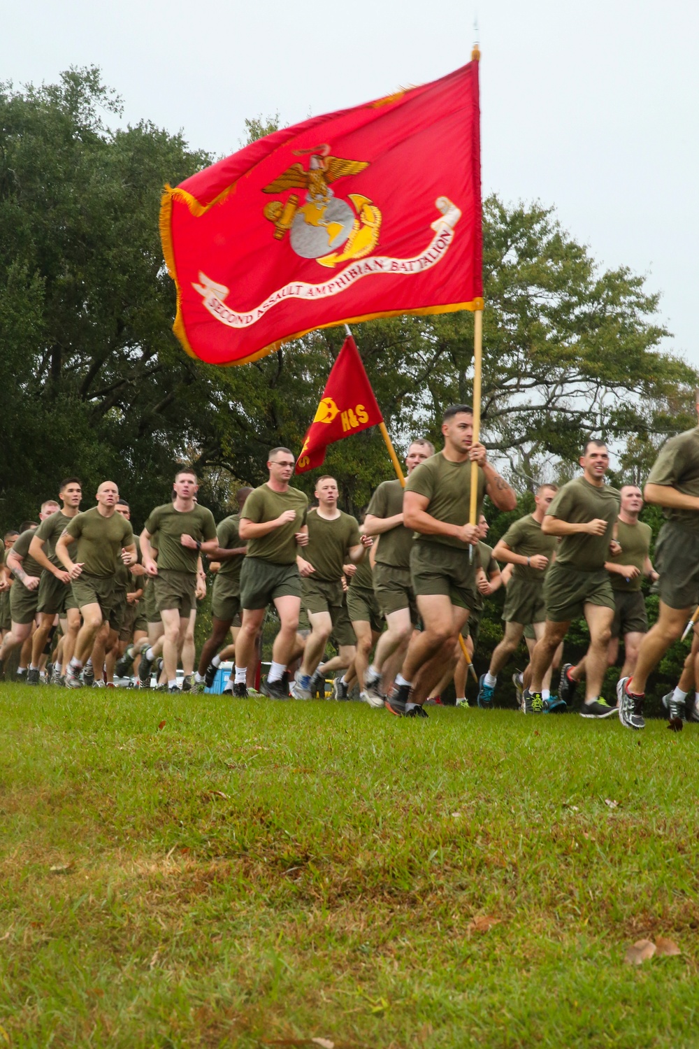 2nd MARDIV celebrates Marine Corps birthday, Veterans Day with motivational run