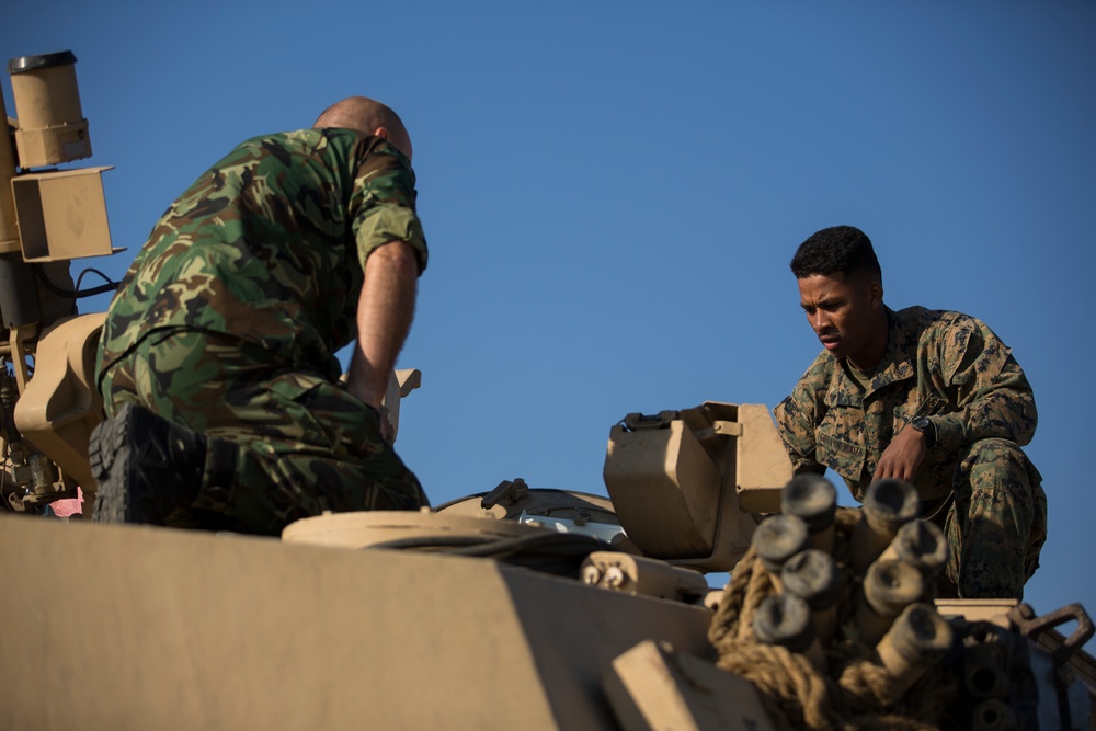 US Marines, allies test combat skills in Bulgaria