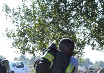 Travis, Beale participate in live fire training exercise