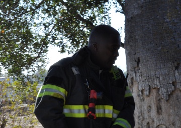 Travis, Beale participate in live fire training exercise